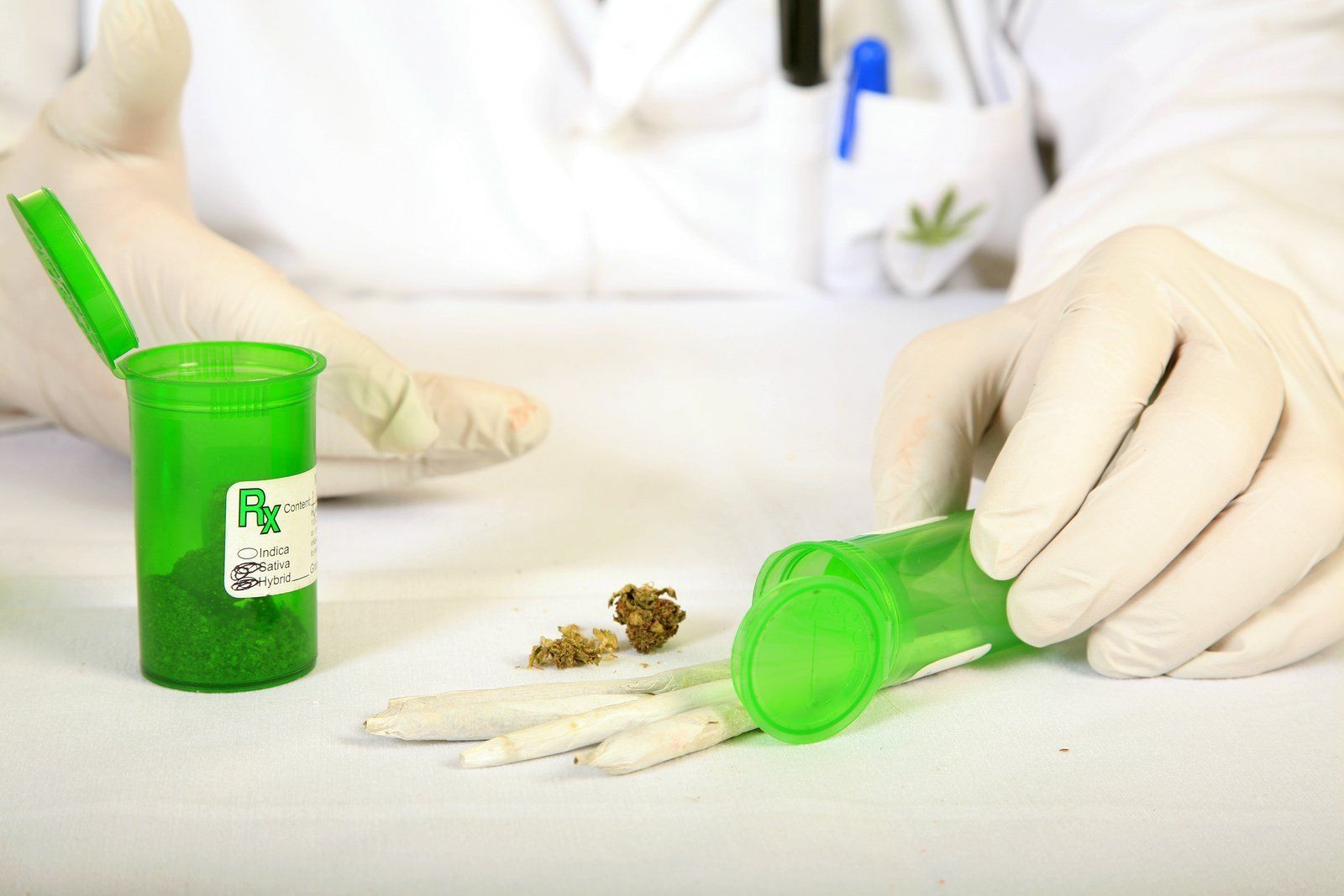 Requirements Necessary In The Weed Service Industry 1